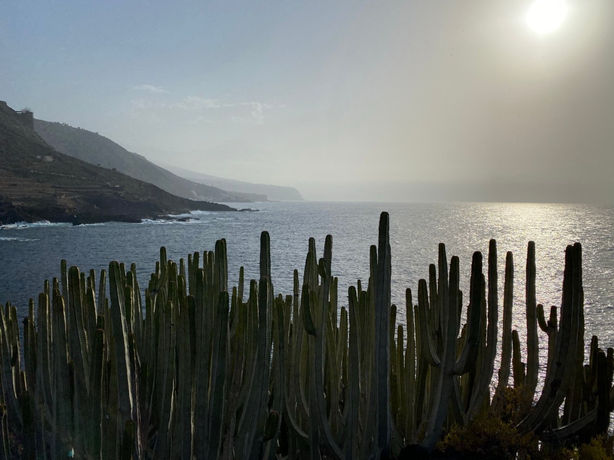 10 imprescindibles QUÉ VER Y HACER en el Norte de Tenerife – Viajar es ...